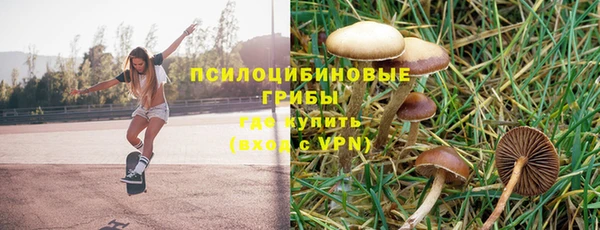гидропоника Армянск