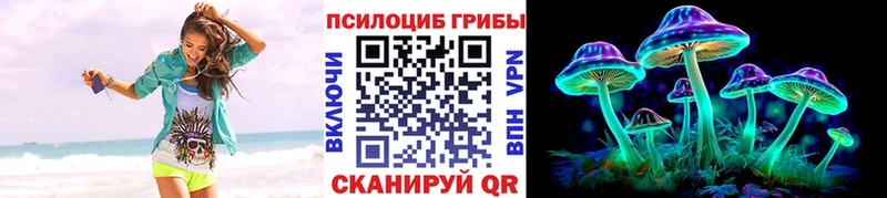 продажа наркотиков  маркетплейс состав  Псилоцибиновые грибы Psilocybe  Муравленко 